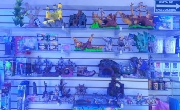 Acuario Anubis