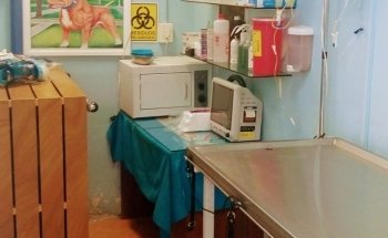 Veterinaria Dog House