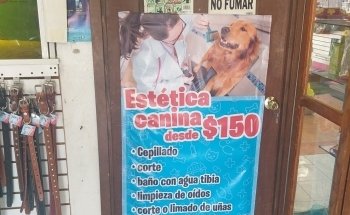 Veterinaria Dog House