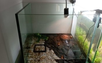 Natural Aquatic Garden Shop