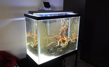 ACUARIO NEPTUNO PUEBLA