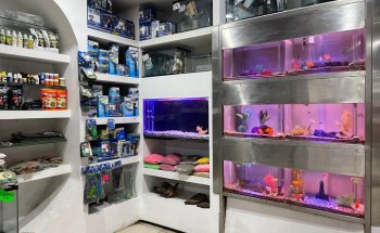 El Sahueso Clinica Veterinaria Sucursal Calle 18