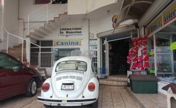 El Sahueso Clinica Veterinaria Sucursal Calle 18