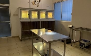 El Sahueso Clinica Veterinaria Sucursal Calle 18