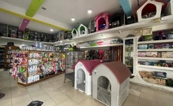 El Sahueso Clinica Veterinaria Sucursal Calle 18