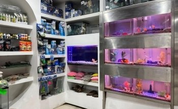 El Sahueso Clinica Veterinaria Sucursal Calle 18