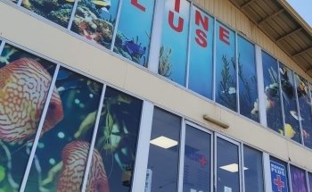 Marine Plus Aquariums