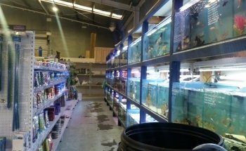 Marine Plus Aquariums