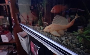 Marine Plus Aquariums