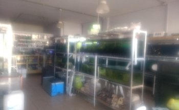 Acuario Aqua Pets