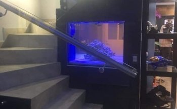 ACUARIO HIPOCAMPO