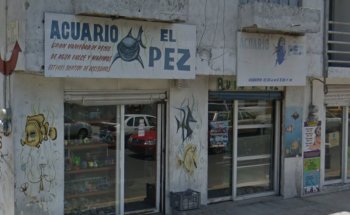 Acuario El Pez