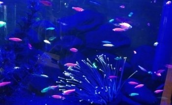AquaZona