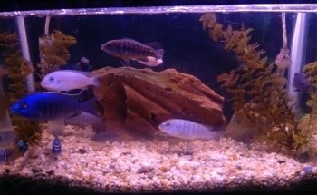AquaZona