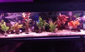 AquaZona