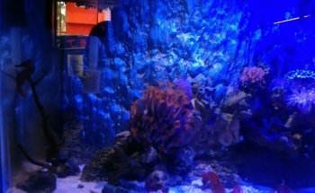 AquaZona