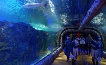 Acuario Interactivo Inbursa