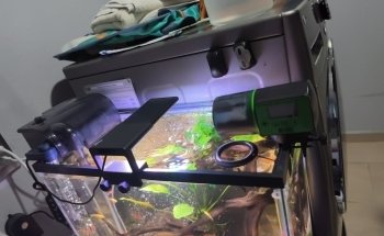 Acuario Gazpher