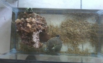 Acuarium