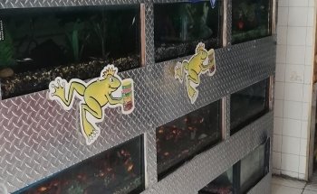 Acuarium