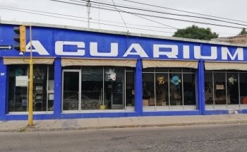 Acuarium