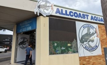 Allcoast Aquarium