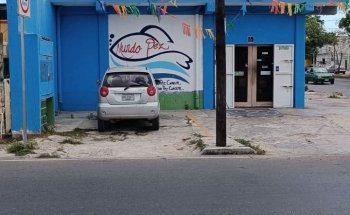 Acuario Mundo pez cancun