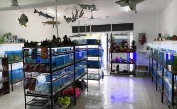 Acuario Mundo pez cancun