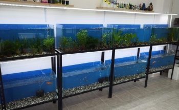 Fish World Aquarium Cancun
