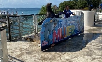 Dolphin Discovery Cancun