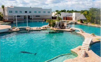 Dolphin Discovery Cancun