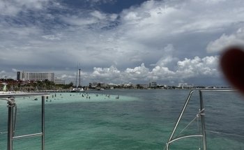 Dolphin Discovery Cancun