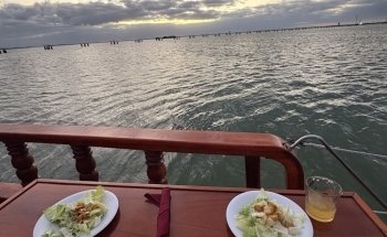 Dolphin Discovery Cancun