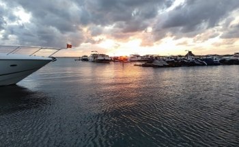 Dolphin Discovery Cancun