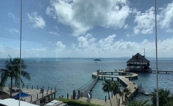 Dolphin Discovery Cancun