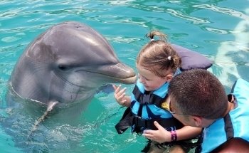 Dolphin Discovery Cancun