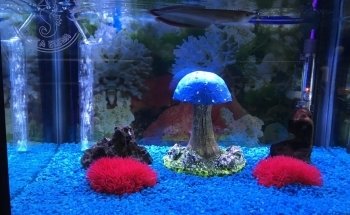 Acuario Santa Elena