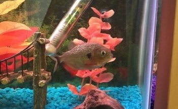 Acuario Santa Elena