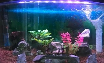 Acuario Santa Elena