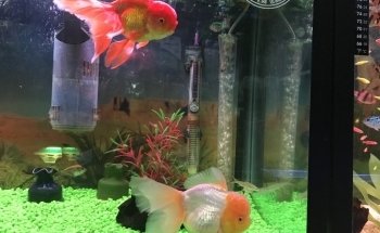 Acuario Santa Elena