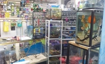 El Acuario LIBRA