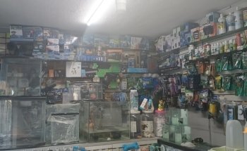 El Acuario LIBRA