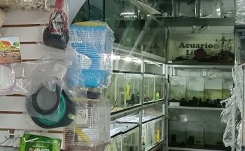 El Acuario LIBRA