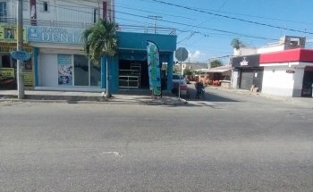AQUARIUS Los Delfines