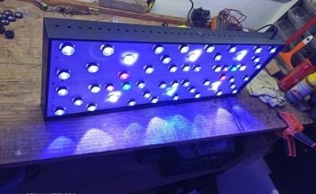 Aquarium sea villa