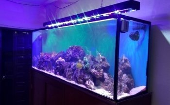 Aquarium sea villa