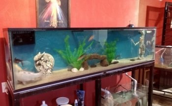 Aquarium sea villa