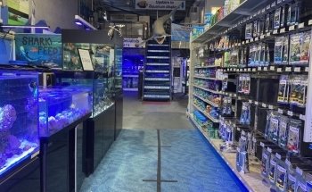 Majestic Aquariums