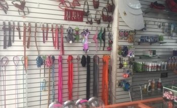 Clínica Veterinaria Tenancingo