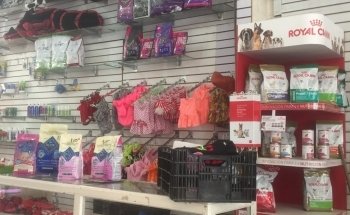 Clínica Veterinaria Tenancingo